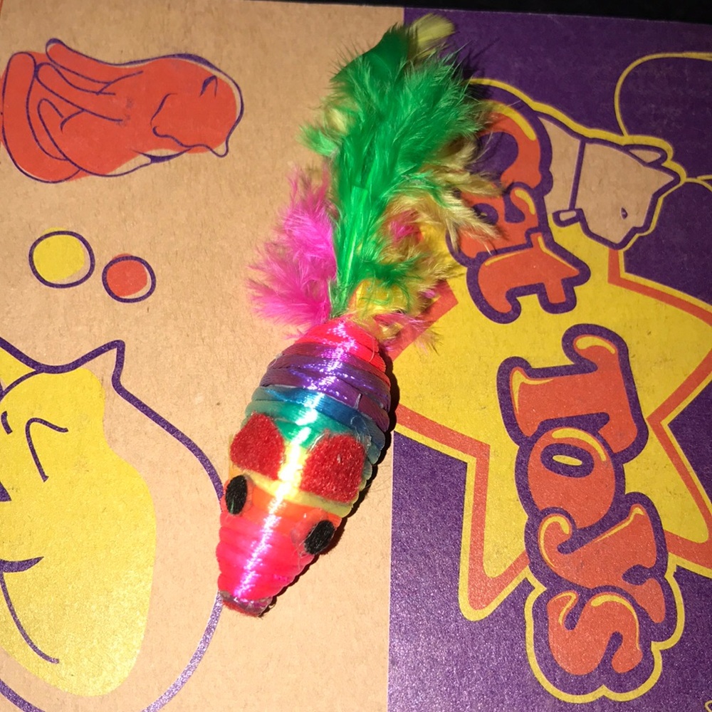 Rainbow 🌈 feather tailed mouse 🐁 cat toy and catnip bonus